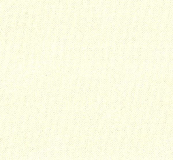 Вельвет Кремовый 85524