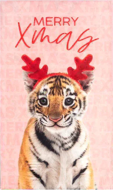 Новогодний подарочный набор кухонный Merry Xmas подставка, полотенце, формочка
