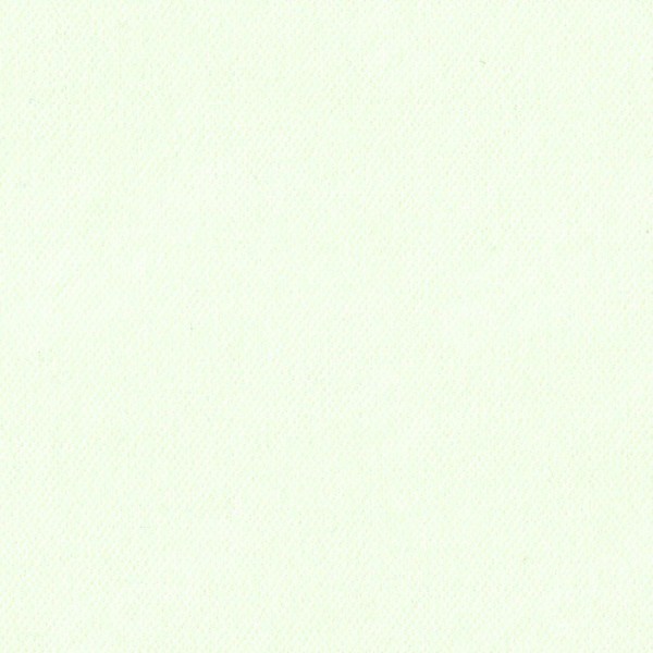 Вельвет Кремовый 85524