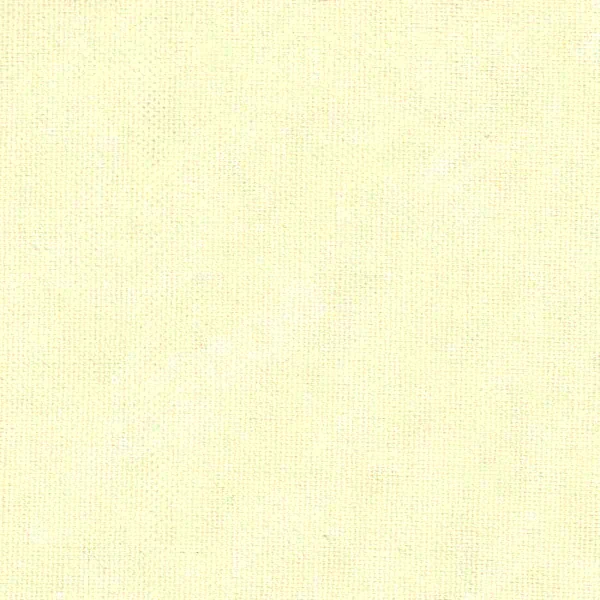 Канвас Светло-бежевый v-250