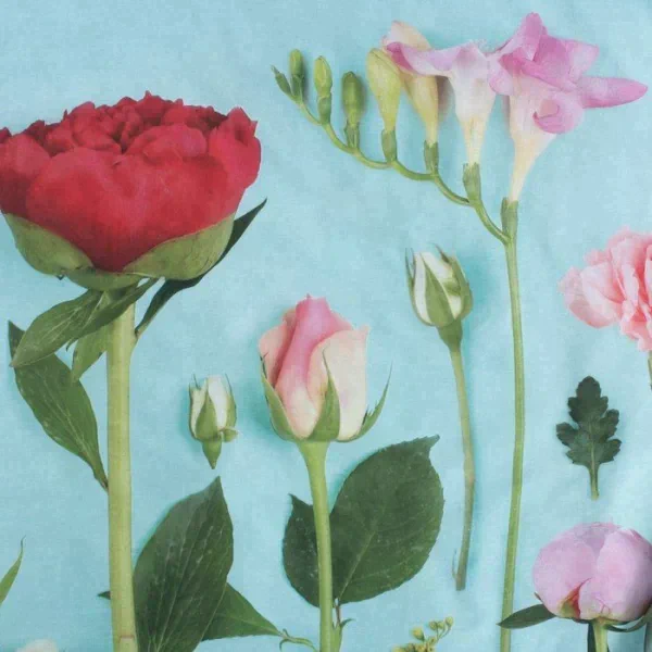 Постельное бельё Этель евро Flowers dream 200х217 см, 240*220 см, 50х70+3 см - 2 шт