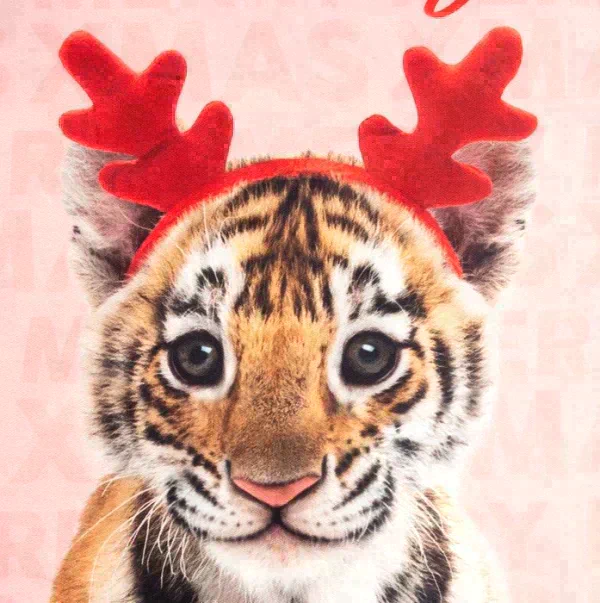 Новогодний подарочный набор кухонный Merry Xmas подставка, полотенце, формочка
