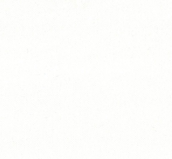 Вельвет Белый 10810